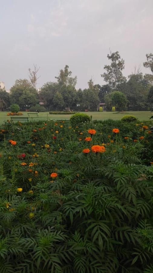 Maplewood Guest House, Neeti Bagh, New Delhiit Is A Boutiqu Guest House - Room 5 ภายนอก รูปภาพ